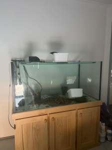 Fish/turtle tank