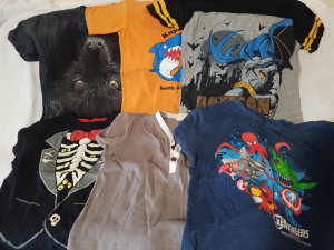 Boys Clothes Bundle (24 items) Sizes 5-6