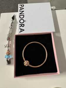Pandora bracelet and charms 