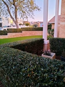Gardener - Garden Maintenance and Lawn Care 