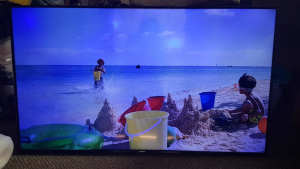Samsung 50 Inch TV Faulty