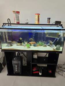 3 X Fish tanks for sale 