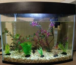 Fully equipped Fish tank