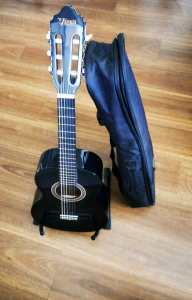 Valencia Guitar with case and stand