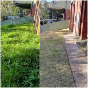Lawn mowing, Overgrown lawns