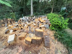 Firewood free Hornsby/Wahroonga