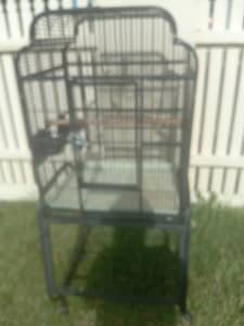 Soild steel bird cage $75 o.n.o in excellent condition 