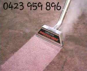 special $199 for 4 rooms steam carpet cleaning.