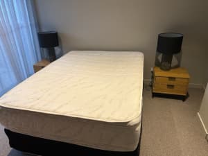 Double bed and base (Dream Master Platinum Firm Spinal Adjustment)