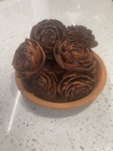 Cedar roses (scented) in terracotta dish