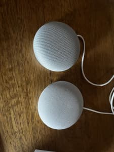 2 x Google Home Minis - different models