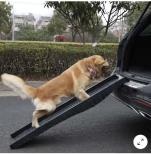 Portable dog ramp
