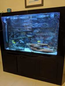 400L Aquatium Fish Tank and Cabinet 