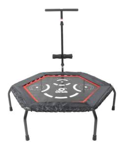 OBT5650SH.1 Commercial Bungee $399