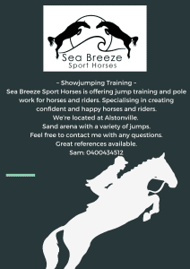 Showjumping and pole work coaching