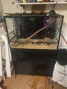 Reptile one tank and stand