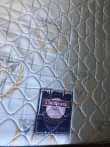 QUEEN BED MATTRESS GREAT FOR LARGE DOGS ITS FREE
