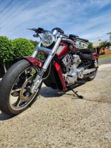 Harley Davidson V-ROD (VRSCF) very low kms