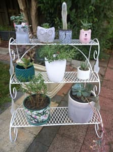 Wrought iron plant stand outdoor Berwick