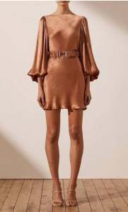 Shona Joy mini copper dress