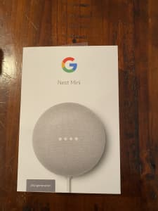 Google nest speaker