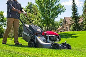 Wanted: Looking for garden care maintenance sub contracts in western suburbs 