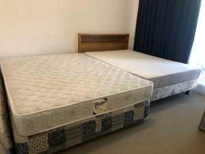 BEDS & MATTRESSES -- QUEEN, DOUBLES, AND SINGLES