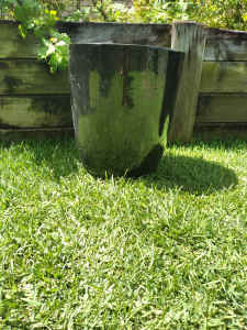 Two large black glossy pots