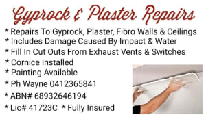 Gyprock & Plaster Repairs