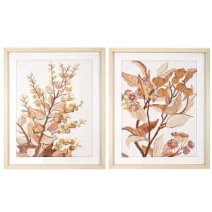 Ex shop stock set of 2 wood frame glass prints apricot