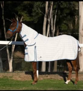 horse rug cotton combo summer sheet