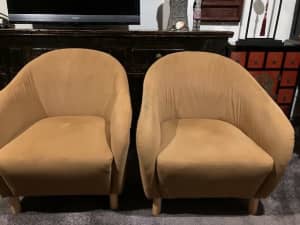 Two Velvet Chairs $0.00 each
