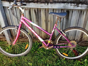 emmelle ladies mountain bike