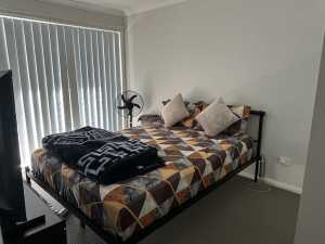 One quality room with balcony for rent in Quakers hill