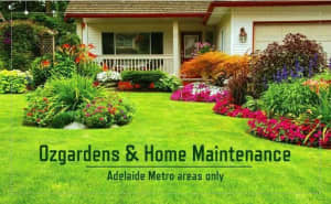 Gardens, trees & property clean-up 