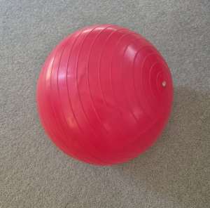 Gym ball/fitball
