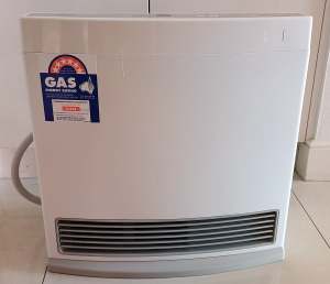 Rinnai Enduro 13 Natural Gas Heater