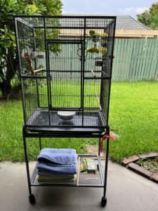 Budgies & Cage for sale