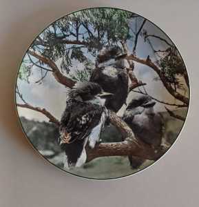 Vintage/Antique Collectors Royal Doulton Young Kookaburras Plate D6426
