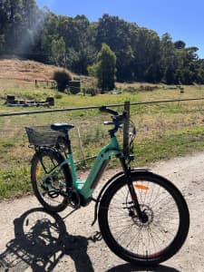 E-BIKE EARTH T-REX SP MIXIE NEON LIMITED EDITION 