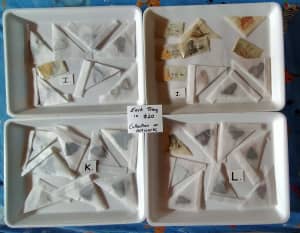 TAXIDERMY INSECTS COLLECTION MIXED BUTTERFLIES ARTWORK WINGS