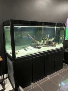 Large fish tank/aquarium with stand and sump - 220 gallon