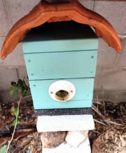 Stingless Bees - Easy Care - Pollinate Garden