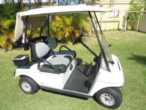 Club Car DS Golf Cart and Charger