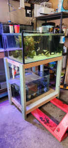 aquarium fish tank 3ft