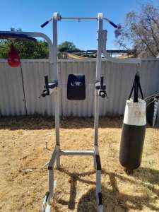 Power Tower with kickboxing bag and old speed bag