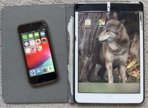 Apple iPhone 5s (A1530) & iPad Mini 1 (A1432) *cracked screen*