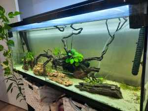 180 Litre Fishtank for Sale with Ghostknife