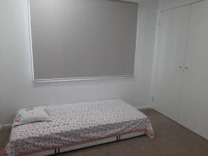 ROOM FOR RENT IN CLYDE NORTH