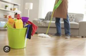 House cleaner wanted